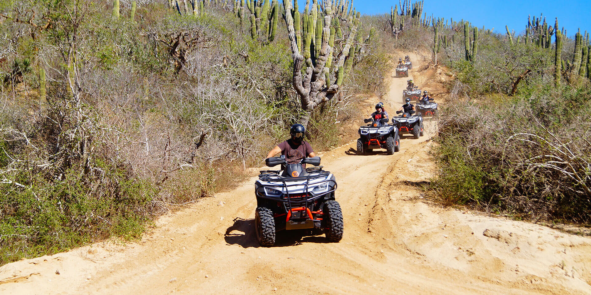 g force tours cabo